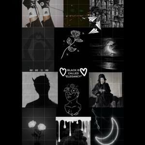 Meet your Posher, Daisy